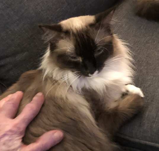 Photo of Sasha
