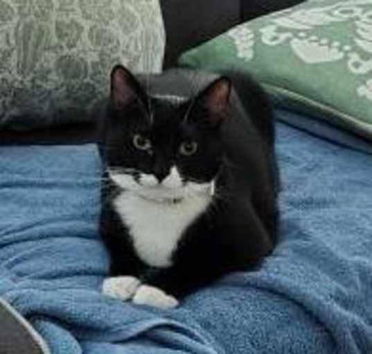 Photo of Kenzi