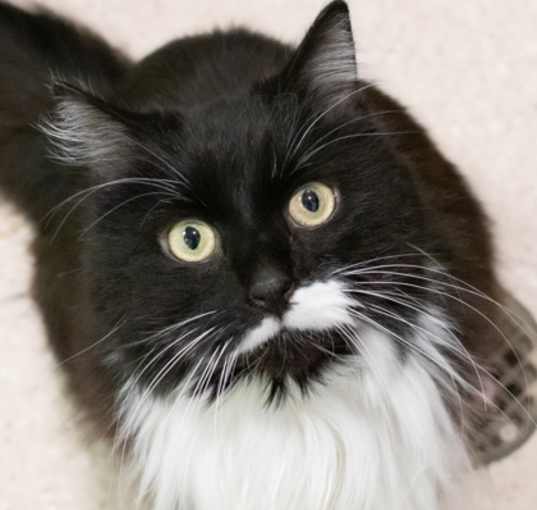 Photo of Mitzi