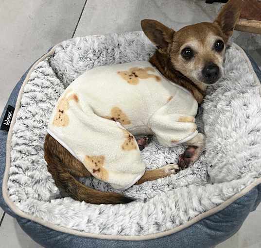 Photo of Pablo