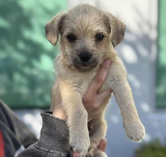 Photo of Sammy
