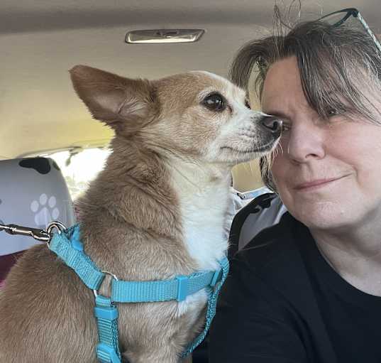 Photo of Cookie
