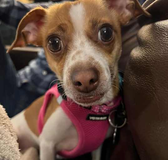 Photo of Glowy