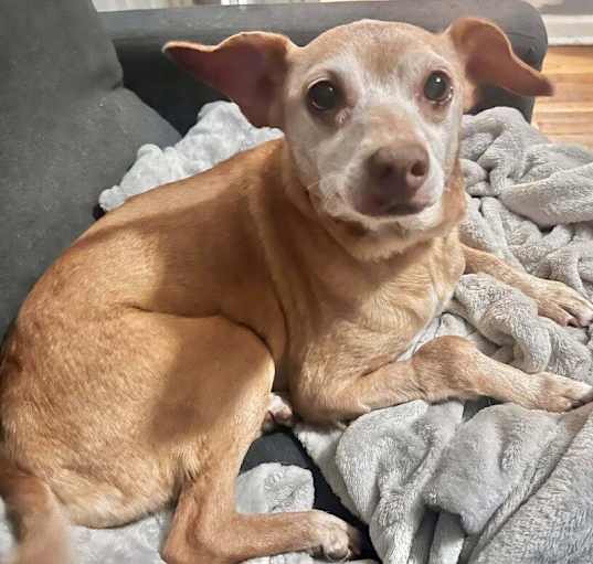 Photo of Myrtle