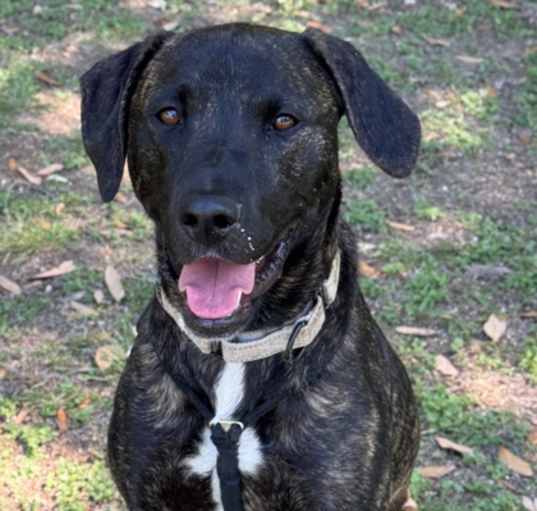 Photo of Duke