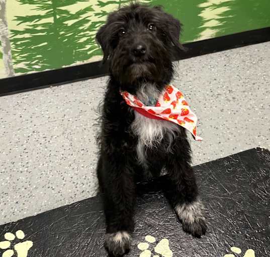 Photo of Thursday