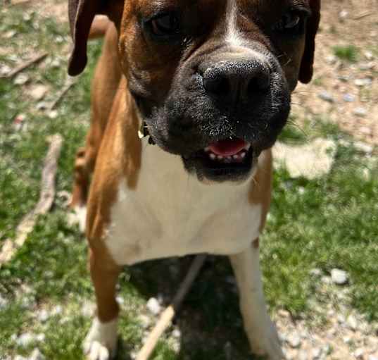 Photo of Missy