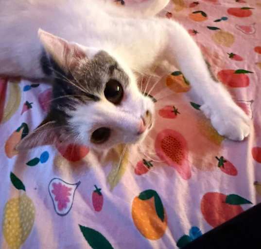 Photo of Winslow