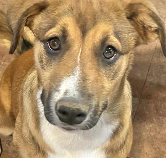 Photo of Maggie meet 4/26