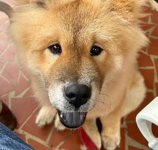 Photo of Happy