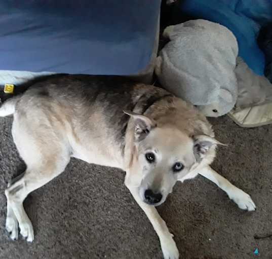 Photo of Freya