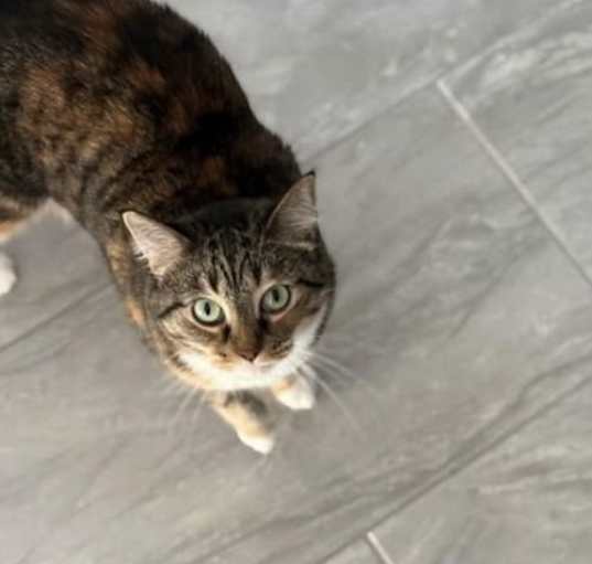 Photo of Ruby