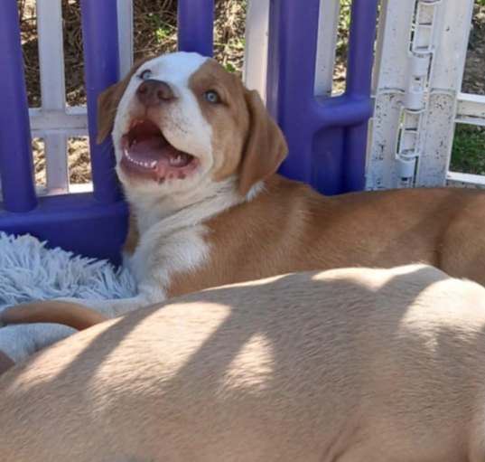 Photo of Lennox