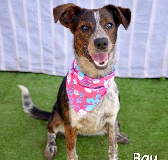 Photo of Bay