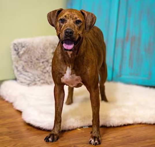 Photo of Penny