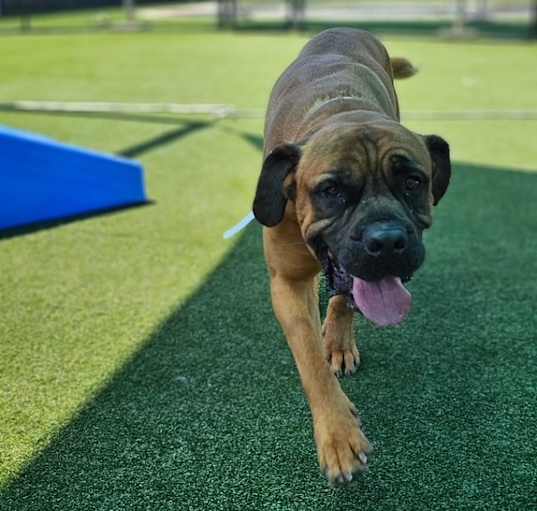 Photo of Gus