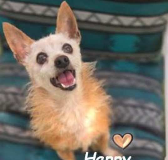 Photo of Happy