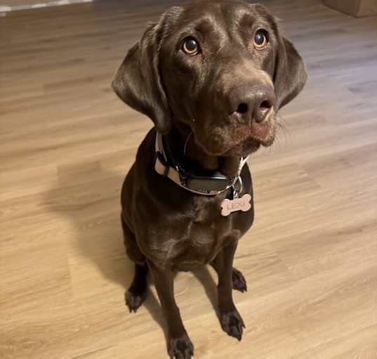 Photo of Lexi