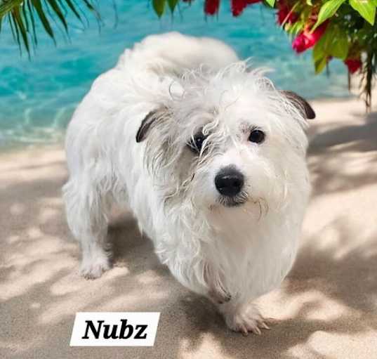 Photo of Nubz