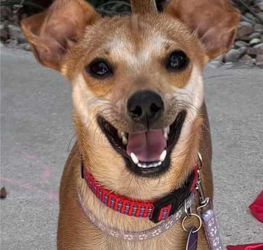 Photo of Ivy