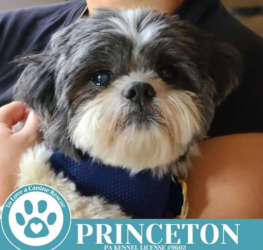 Photo of Princeton 041225