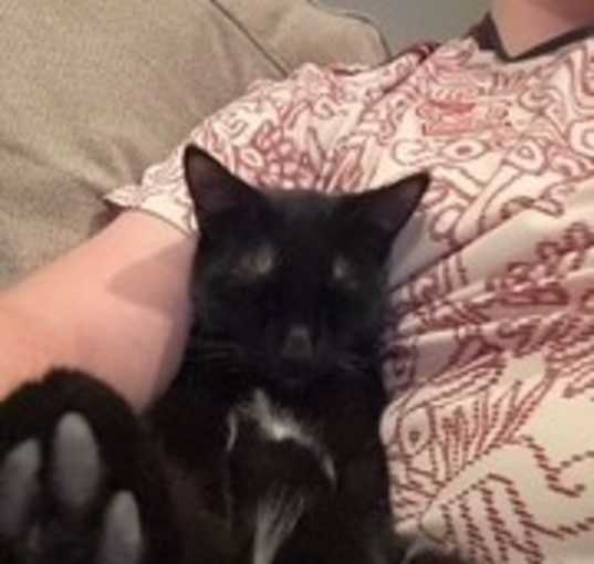 Photo of Salem