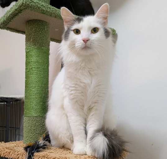 Photo of Petey