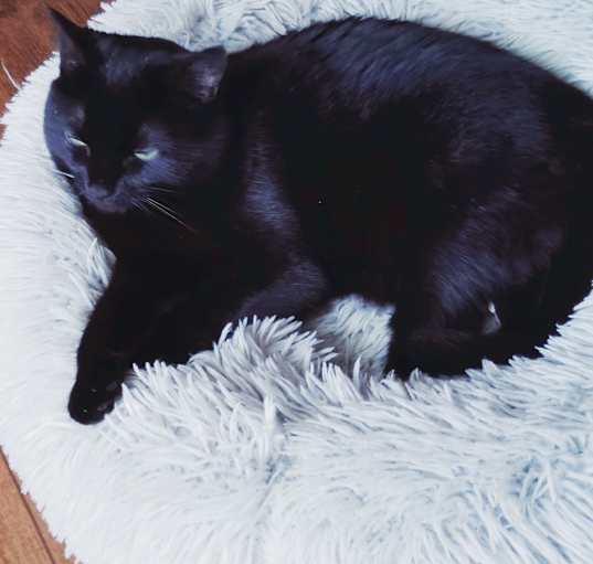 Photo of DOT