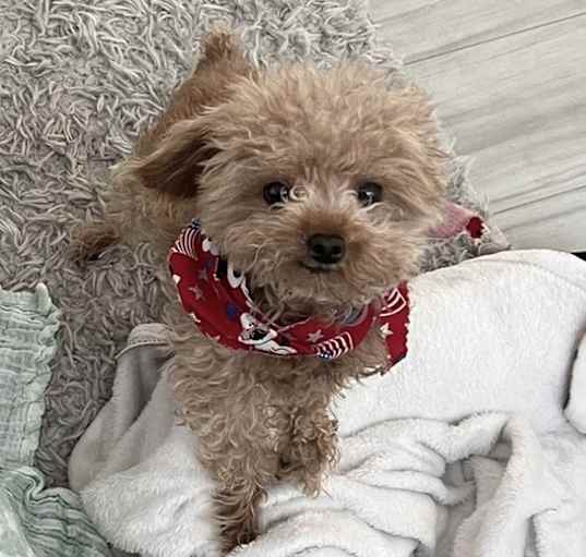 Photo of Ares