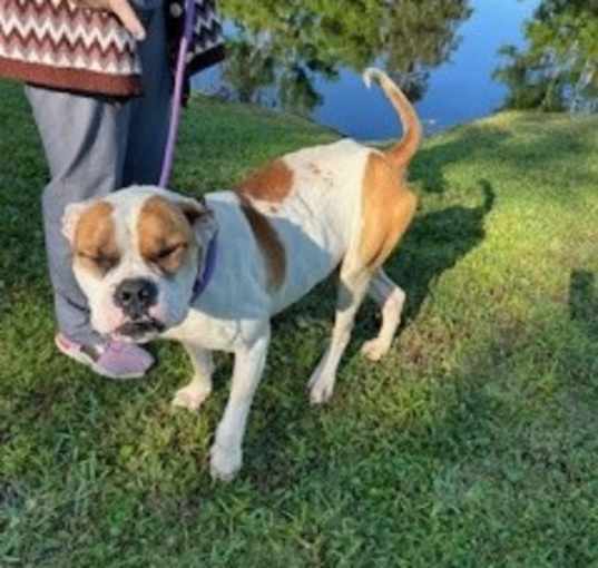 Photo of Axl