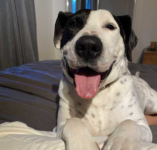 Photo of Sammy