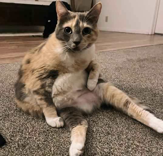Photo of Norah