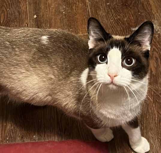 Photo of Nora
