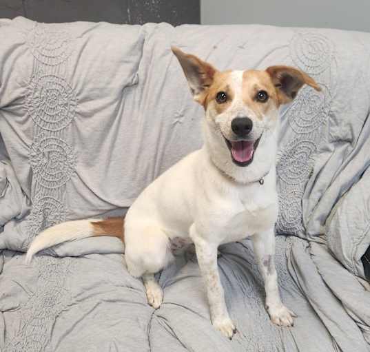 Photo of MAXIE