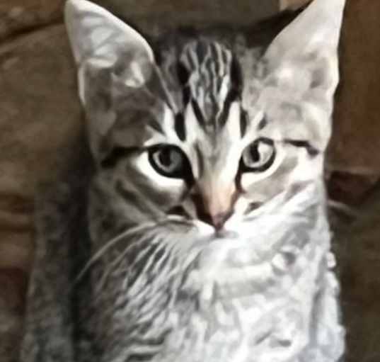 Photo of Sam