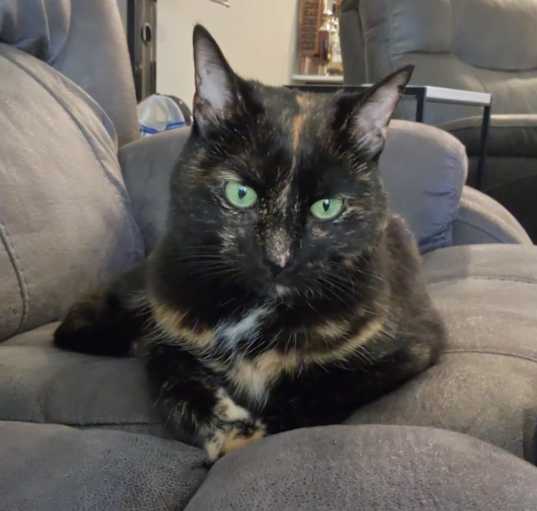 Photo of Ember