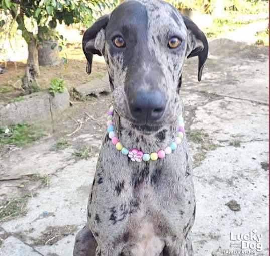 Photo of Lara