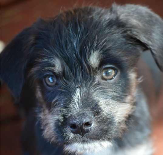 Photo of Hermes