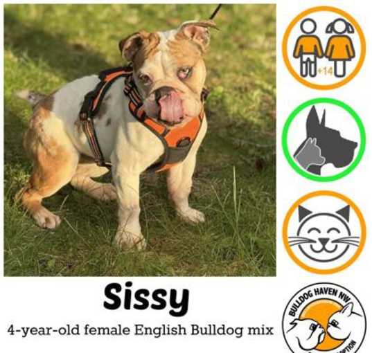 Photo of Sissy