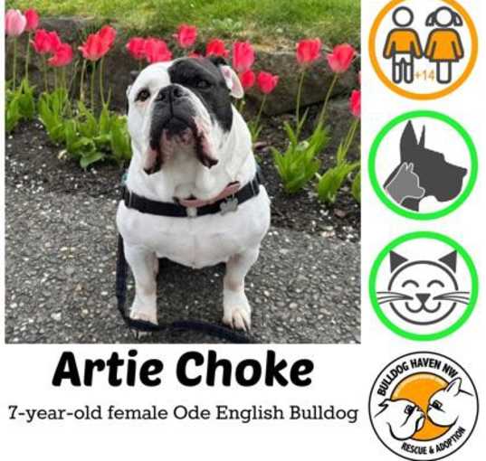 Photo of Artie Choke