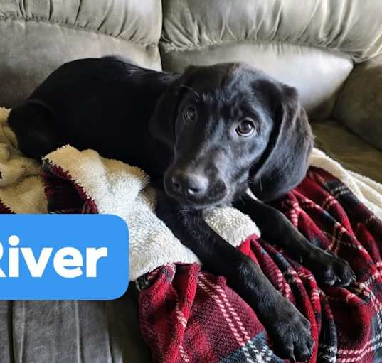 Photo of River