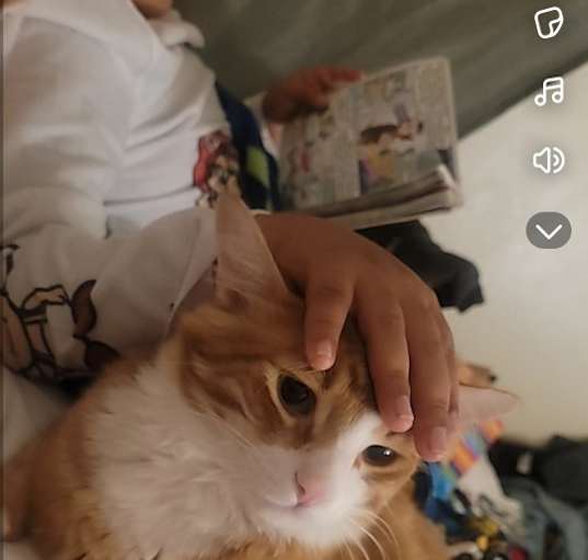 Photo of Fluffy