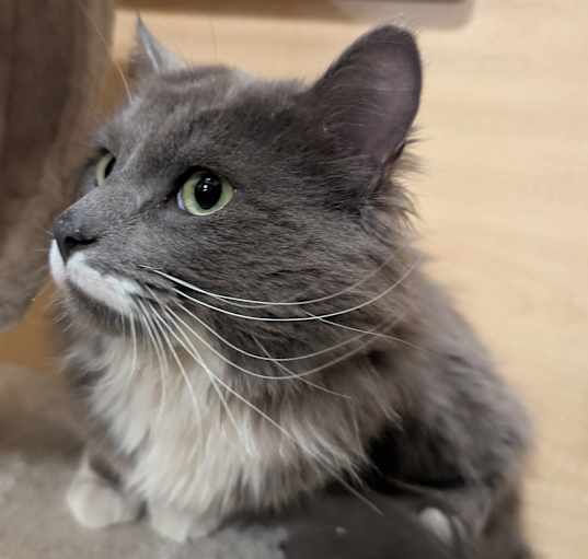 Photo of Walter