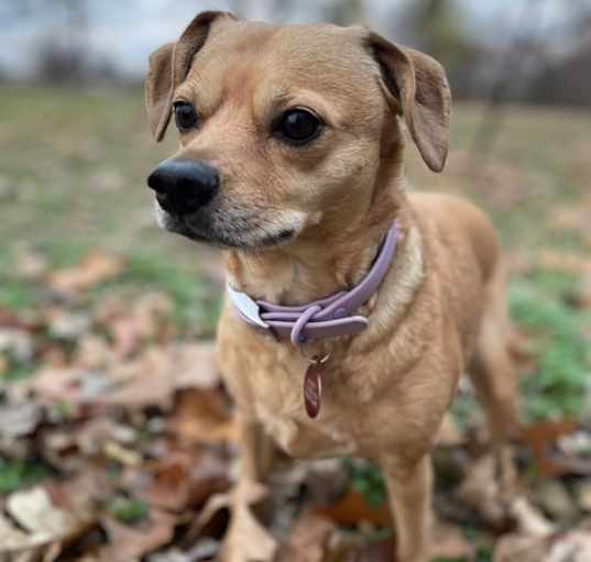 Photo of Marlie