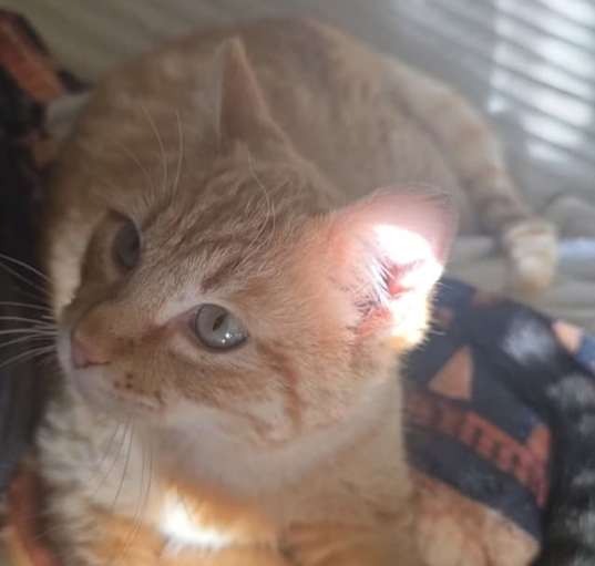 Photo of Dude