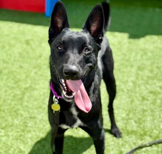 Photo of Emmitt