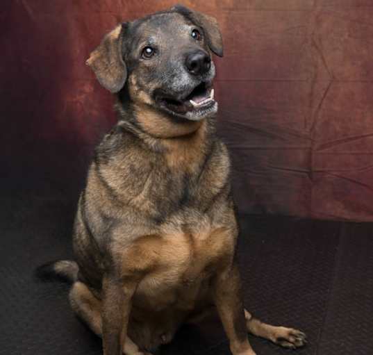 Photo of Rolo