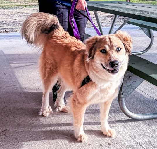 Photo of Sadie