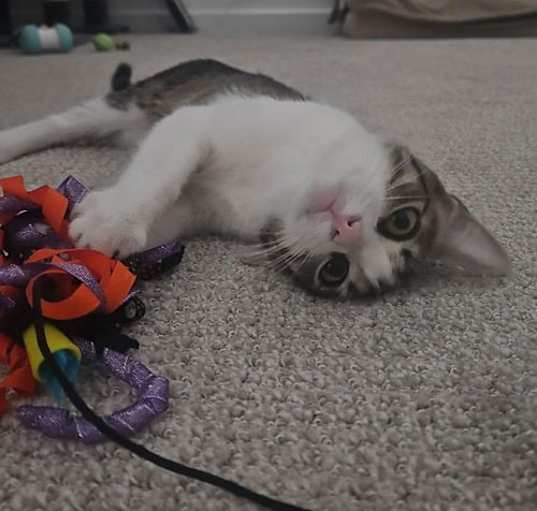 Photo of Gabby