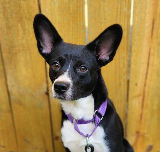 Photo of Elsie VM